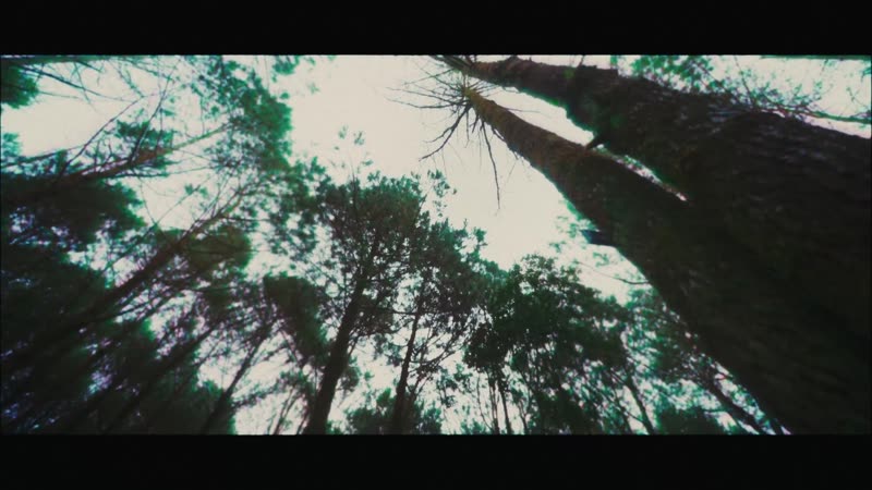 Music Video — Bunzo